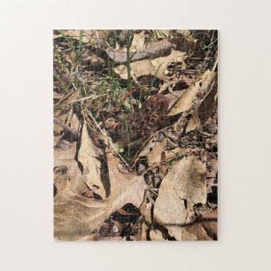 Morel Puzzle