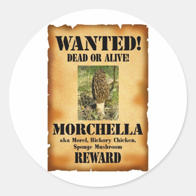 Morel - Wanted Poster Classic Round Sticker (Front)