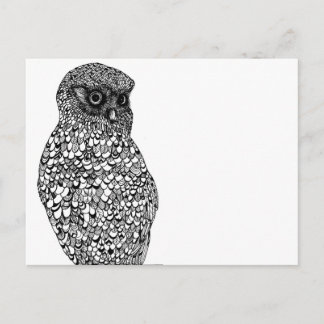 Morepork Postcard