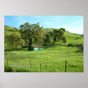 Morgan Hill Meadow Print - Select Your Frame