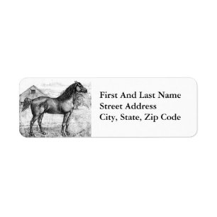 Morgan Horse 1888 Vintage Drawing Breed Art Return Address Label
