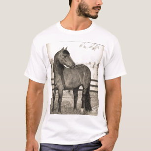 Morgan horse 2007 T-Shirt