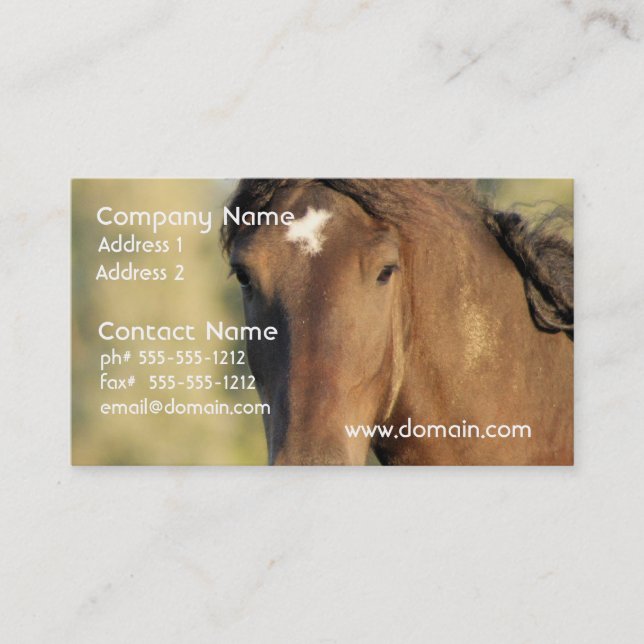 Morgan Horse Business Cards (Front)