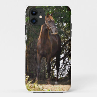 Morgan Horse iPhone 11 Case