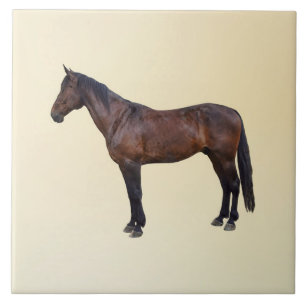 Morgan Horse in Profile Ceramic Tile