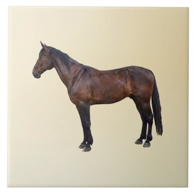 Morgan Horse in Profile Ceramic Tile (Front)