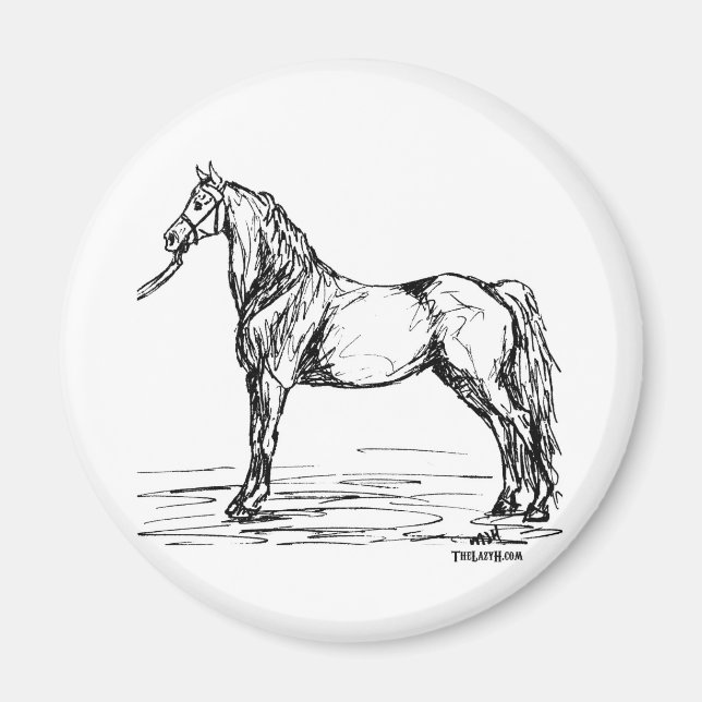 Morgan Horse Simple Sketch Magnet (Front)