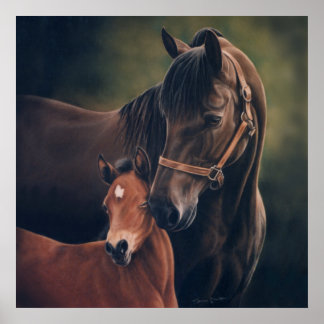Morgan Mare and Foal by Lynn Peterson Poster