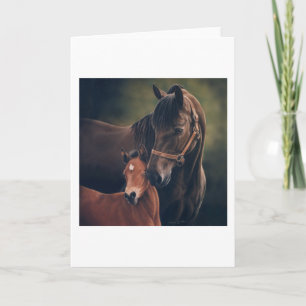Morgan Mare and Foal Card
