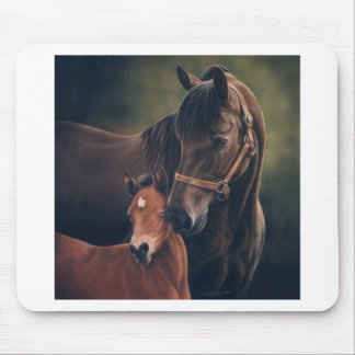 Morgan Mare and Foal Mouse Pad
