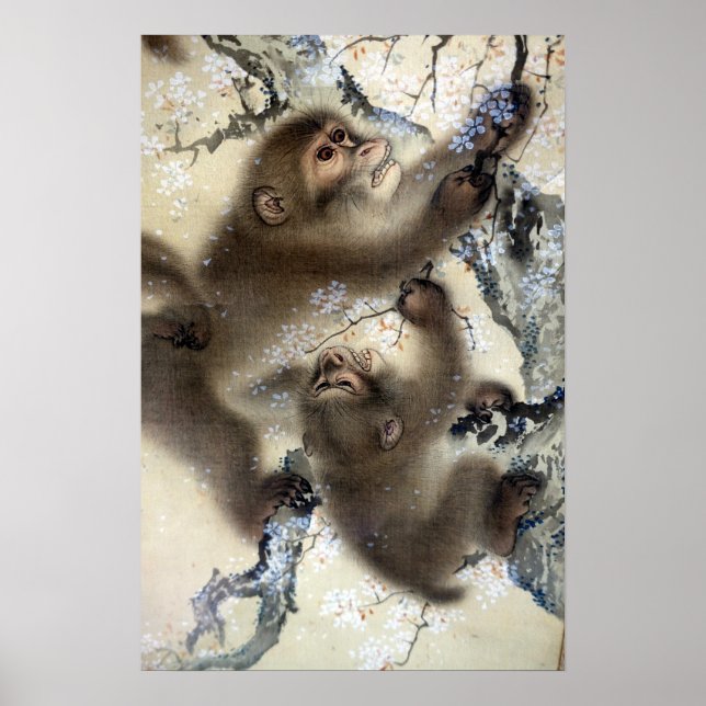 Mori Sosen Monkeys in a Blossoming Cherry Tree Poster (Front)