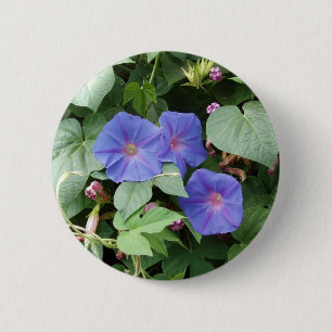 Moring Glory Flowers - Button