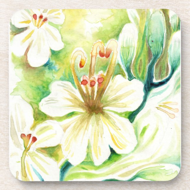 Moringa flowers coaster (Front)