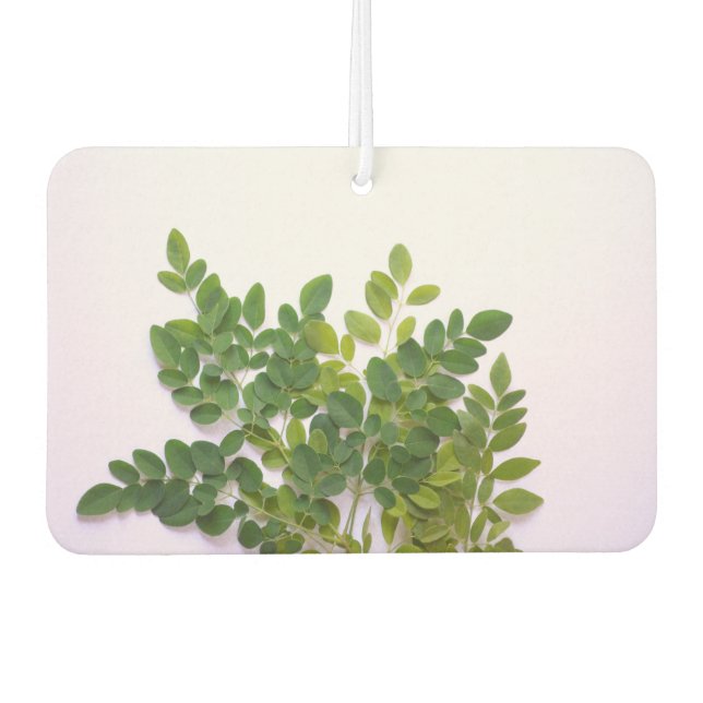 Moringa leaves with text space car air freshener (Front)