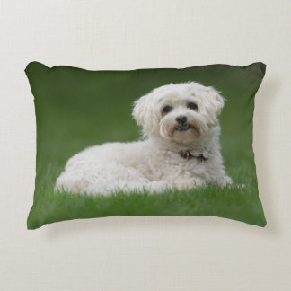 Moritz the Maltese Decorative Cushion