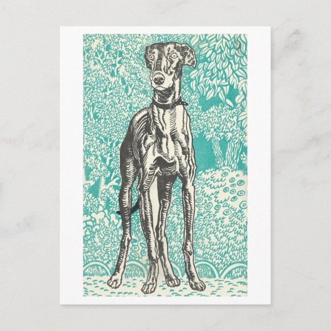 Moriz Jung Greyhound Print Postcard (Front)