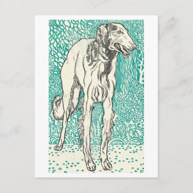 Moriz Jung Greyhound Print Postcard (Front)