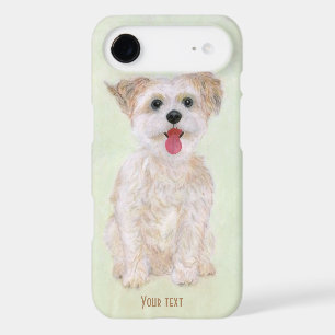Morkie