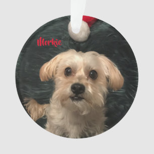Morkie Acrylic Christmas Ornament