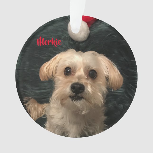 Morkie Acrylic Christmas Ornament (Front)
