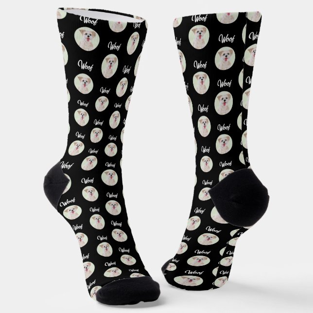 Morkie Black Socks Round Image (Angled)