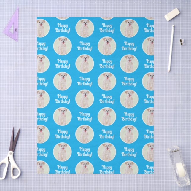 Morkie Dog Blue Tissue Paper (Craft)