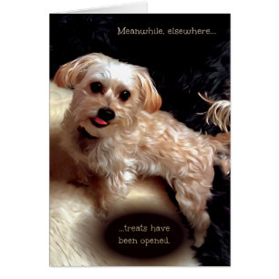 Morkie Dog Cute Funny Meme Puppy Birthday Card