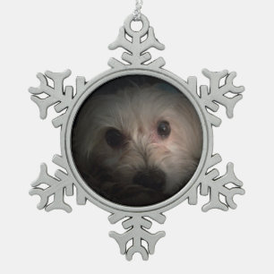 Morkie Dog Puppy Cute Rescue Ornament