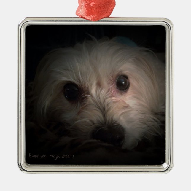 Morkie Dog Puppy Cute Rescue Ornament (Front)