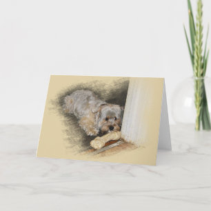 Morkie Greeting Card