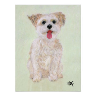 Morkie Poster With Text