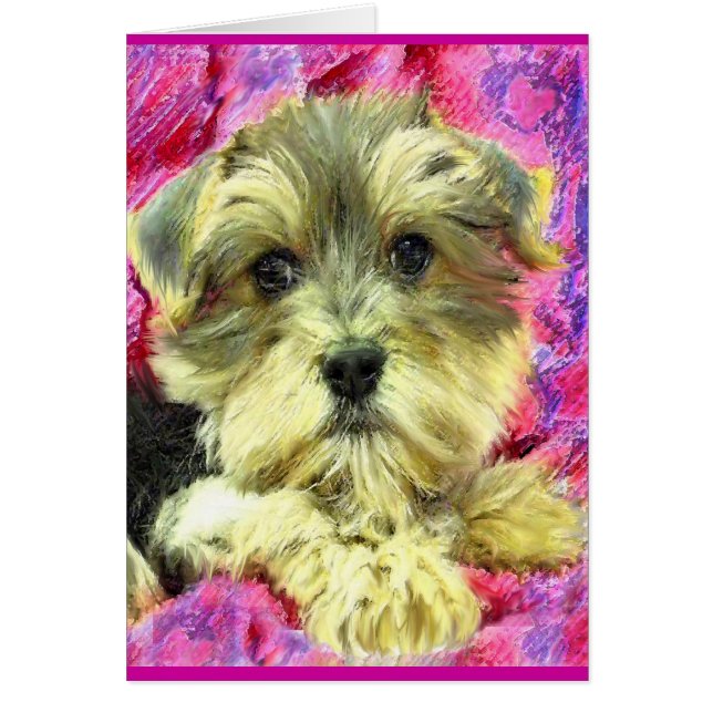 morkie puppy card (Front)