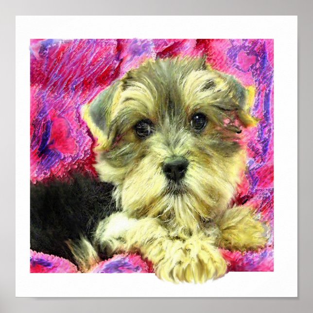 morkie puppy poster (Front)