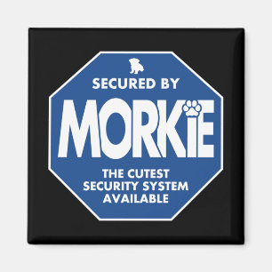 Morkie-Security-Blue Magnet