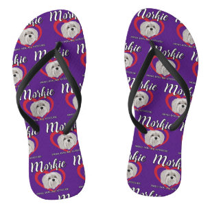 Morkie - Small Dog, Big Attitude - 3 Thongs