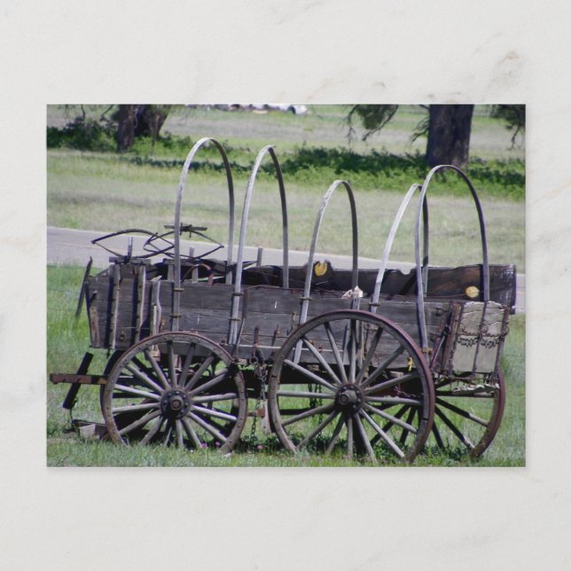 Mormon Lake Wagon Postcard (Front)