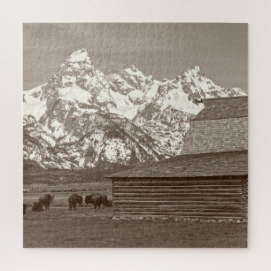Mormon Row - Grand Tetons - 20x20 - 676 pcs Jigsaw Puzzle