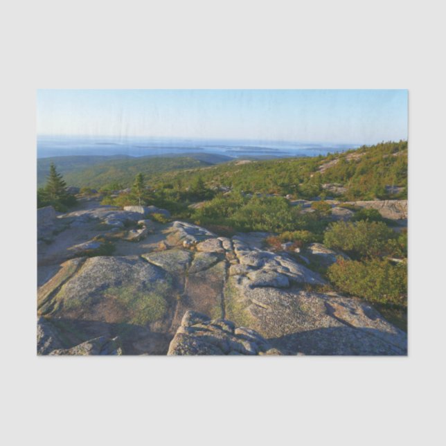 Morning atop Cadillac Mountain at Acadia Tissue Paper (Front)