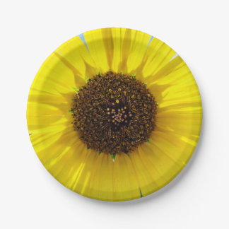 Morning Blaze Paper Plate