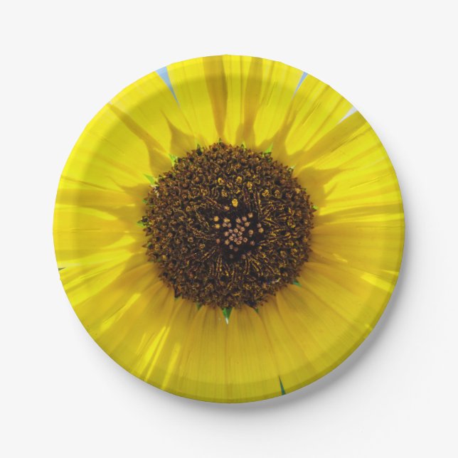 Morning Blaze Paper Plate (Front)