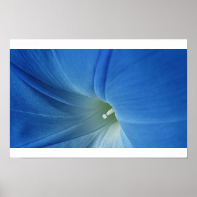 Morning Bloom Poster (Front)