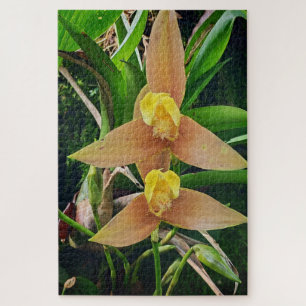 Morning Calm: Blush Petals in Gentle Focus Jigsaw Puzzle