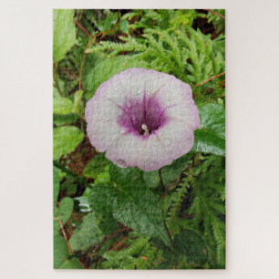 Morning Calm: Soft Dew Dropped Pink Petals Jigsaw Puzzle