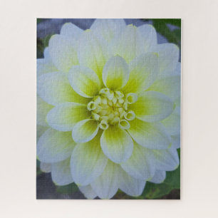 Morning Calm: White Layered Bloom in Natural Light Jigsaw Puzzle