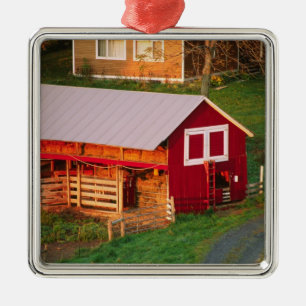 Morning chores on the farm. USA, Vermont, Metal Ornament