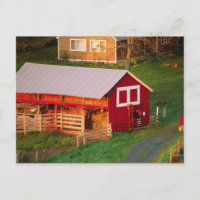 Morning chores on the farm. USA, Vermont,