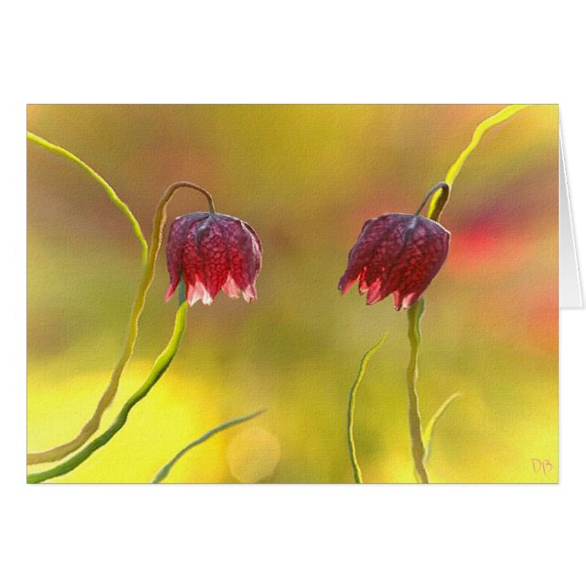 Morning Delight (Front Horizontal)