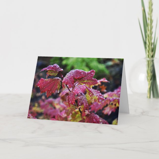 Morning Dew Card (Front)