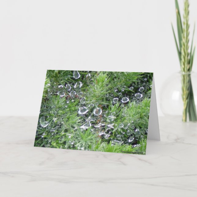 Morning Dew Card (Front)