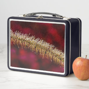Morning Dew Metal Lunch Box